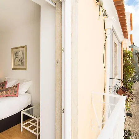 Gomes Freire Delight