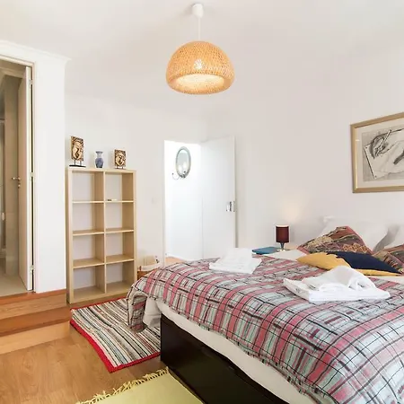 Gomes Freire Delight *