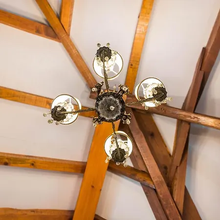 Gomes Freire Delight Віавіа