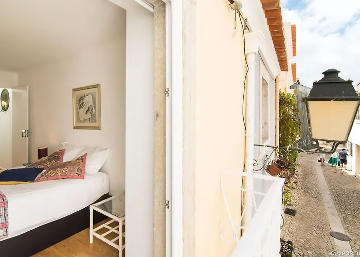 Gomes Freire Delight