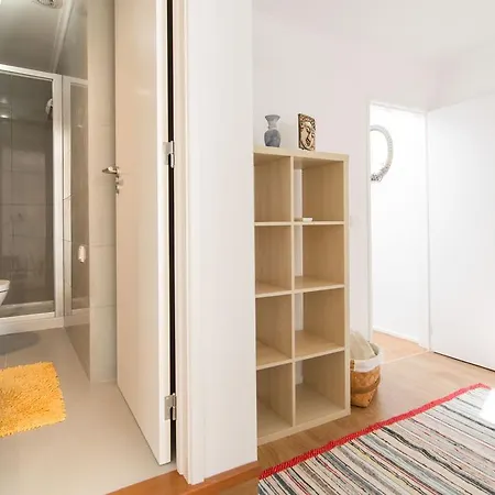 Gomes Freire Delight